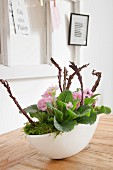 Arrangement of pink primulas and moss in white bowl on wooden table