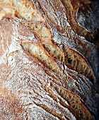 Crispy sour dough bread (close-up)