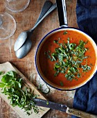 Tomato soup with rosemary and basil