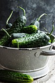 Freshly washed country cucumbers in a colander