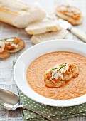 Tomato soup with fennel and crab crostini