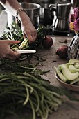 Hands of person chopping vegetables