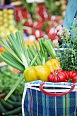 Einkaufstasche mit frischem Gemüse