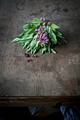 A bundle of flowering sage on a wooden table