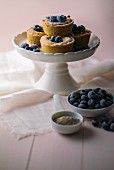 Mini cheesecakes with blueberries and chia seeds