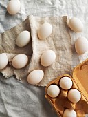 weiße Eier auf Leinentischdecke