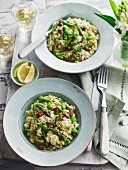 Spring risotto with green asparagus and peas