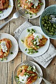 Potato cakes with salmon, cucumber and sour cream