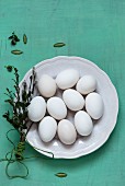weiße Eier auf Teller mit Palmkätzchen