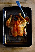 A whole chicken with roasting juices on a baking tray