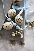 Easter still-life arrangement of quail eggs, beads on ribbon & hydrangea florets