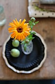Blick von Oben auf gelbe Aster in Glasvase auf Holztisch im Boho-Stil