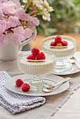 Panna cotta with raspberries on a garden table