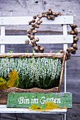 Wreath of acorns, sign and wooden crate of heather on garden chair