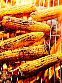 Elote, Mexican corncobs on a grill