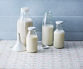 Vegan substitutes for cow's milk: oats, hemp, rice and soya milk