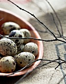 Quail's eggs in a wooden bowl