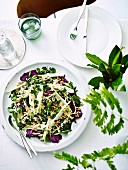 Radicchio, Spinach silverbeet & pine nut salad with ranch dressing