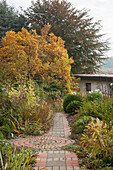 Paved path leading through autumnal herbaceous borders in garden
