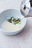 Celeriac soup with sorrel sorbet and cooked grains