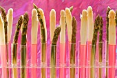 Green and white asparagus spears in test tubes