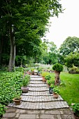 Paved garden path with potted plants on steps