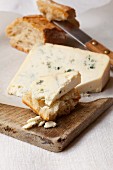 A slice of Bleu d'Auvergne cheese with bread