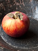 An apple with dried leaves in a stone bowl