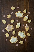 Leaf-shaped maple syrup biscuits