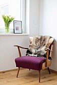 Fur blanket on 50s armchair below window