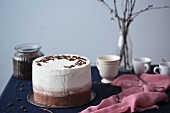 Tiramisu cake with coffee mousse and mascarpone