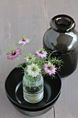 Love-in-a-mist in glass bottle in stack of black bowls next to glass vase on grey-painted wooden surface