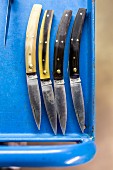 Pocket knives with horn handles