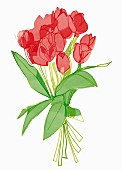 An illustration of a bunch of red tulips