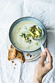 Cream of fennel soup with pastis, avocado and grape salsa