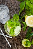 Detox drinks made with cucumber, lemon and basil