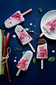 Rhubarb and yoghurt ice lollies