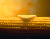 Butter Melting on Four Ears of Corn