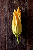 A courgette flower on a wooden table