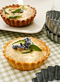 Vegetarian courgette and cheese tartlets