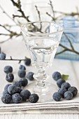 A glass of sloe schnapps