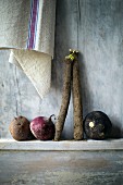 An arrangement of vegetables (purple potatoes, beetroot, black salsify, black radish) with a tea towel on an old wooden surface
