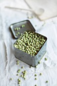 Dried organic peas in a small tin on an old linen cloth