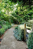 Garden path in a lush green summer garden