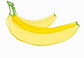 An illustration of two bananas