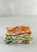 A portion of spinach lasagne