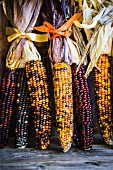 Multicoloured corn cobs on rustic wooden surface