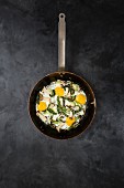 Fried mushrooms with fried eggs and strips of Savoy cabbage