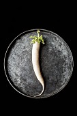A white radish on an old metal tray