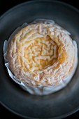 Langres cheese from the Champagne-Ardenne region in France
